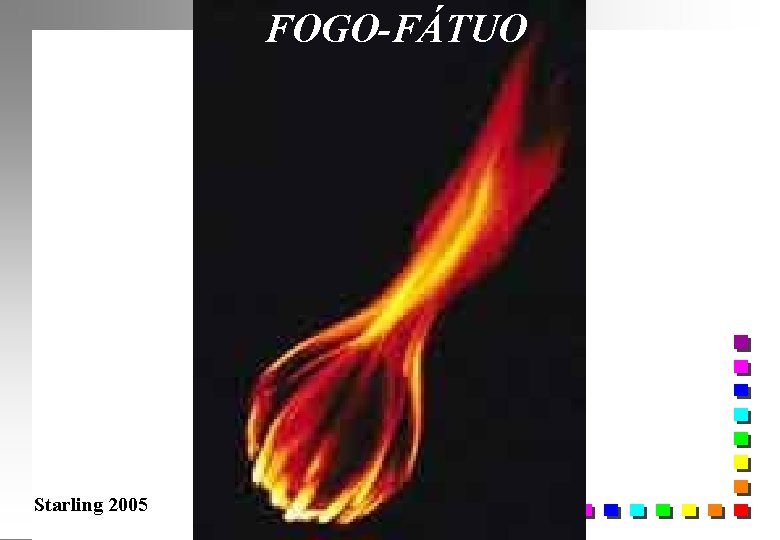 FOGO-FÁTUO Starling 2005 