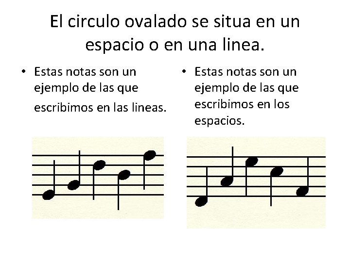 El circulo ovalado se situa en un espacio o en una linea. • Estas