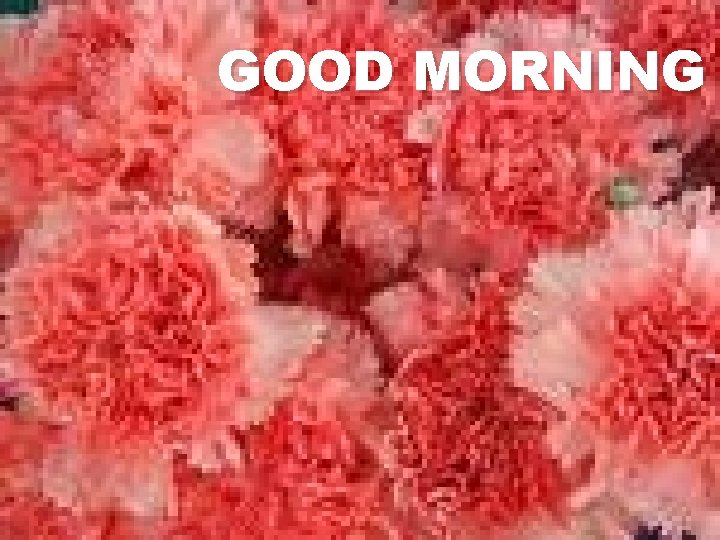 GOOD MORNING 1 GOOD MORNING 1