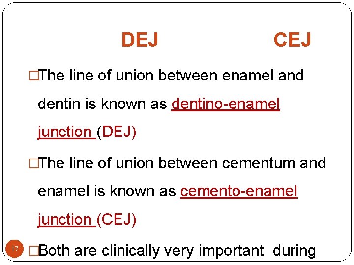 DEJ CEJ �The line of union between enamel and dentin is known as dentino-enamel DEJ CEJ �The line of union between enamel and dentin is known as dentino-enamel