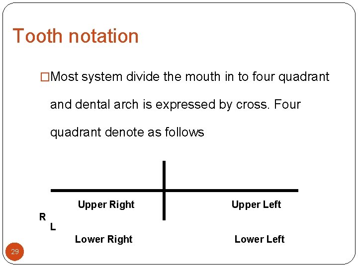 Tooth notation �Most system divide the mouth in to four quadrant and dental arch Tooth notation �Most system divide the mouth in to four quadrant and dental arch
