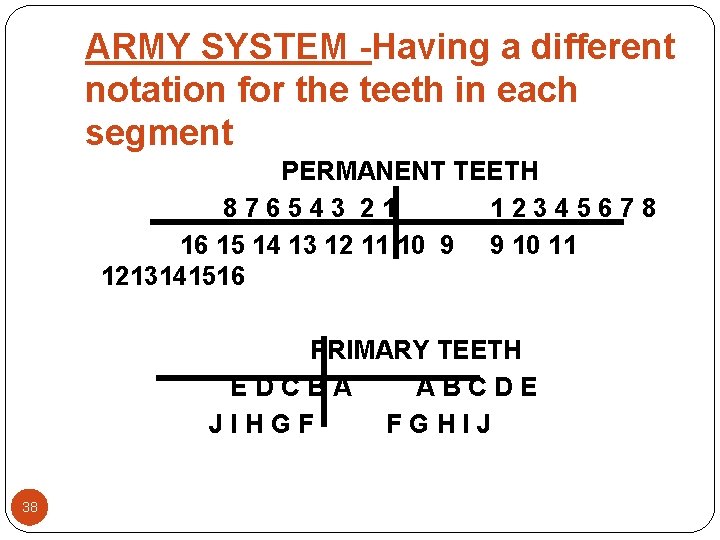 ARMY SYSTEM -Having a different notation for the teeth in each segment PERMANENT TEETH ARMY SYSTEM -Having a different notation for the teeth in each segment PERMANENT TEETH