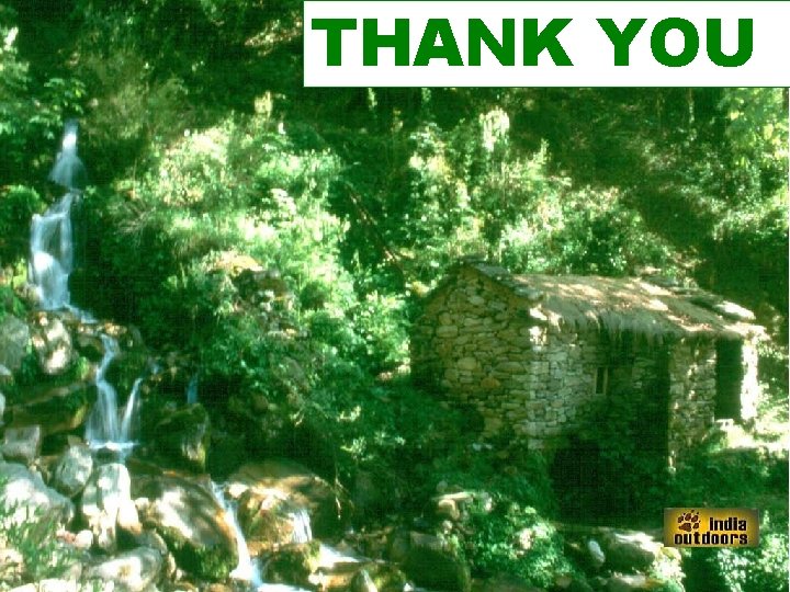 THANK YOU 87 THANK YOU 87