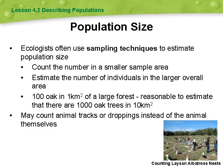 Lesson 4. 2 Describing Populations Population Size • • Ecologists often use sampling techniques