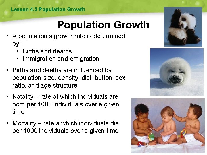 Lesson 4. 3 Population Growth • A population’s growth rate is determined by :