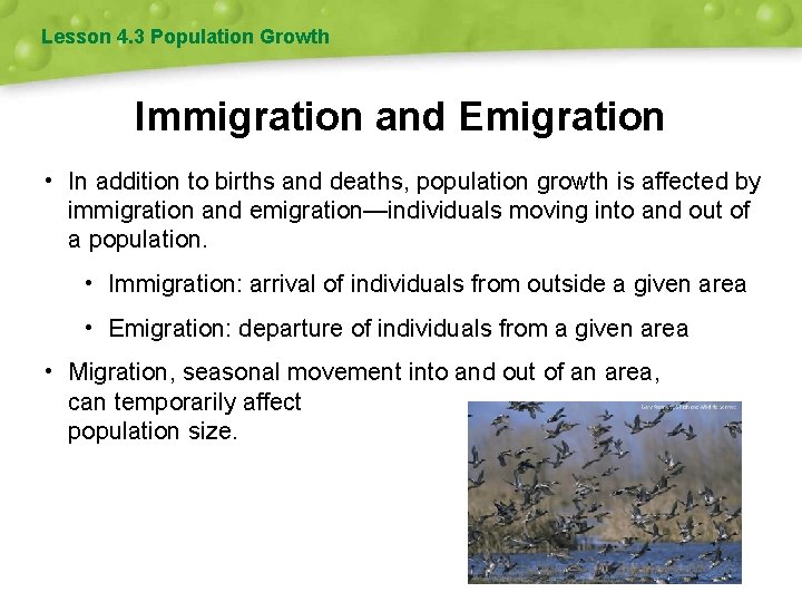 Lesson 4. 3 Population Growth Immigration and Emigration • In addition to births and