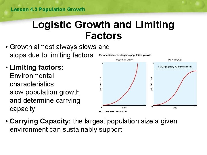 Lesson 4. 3 Population Growth Logistic Growth and Limiting Factors • Growth almost always