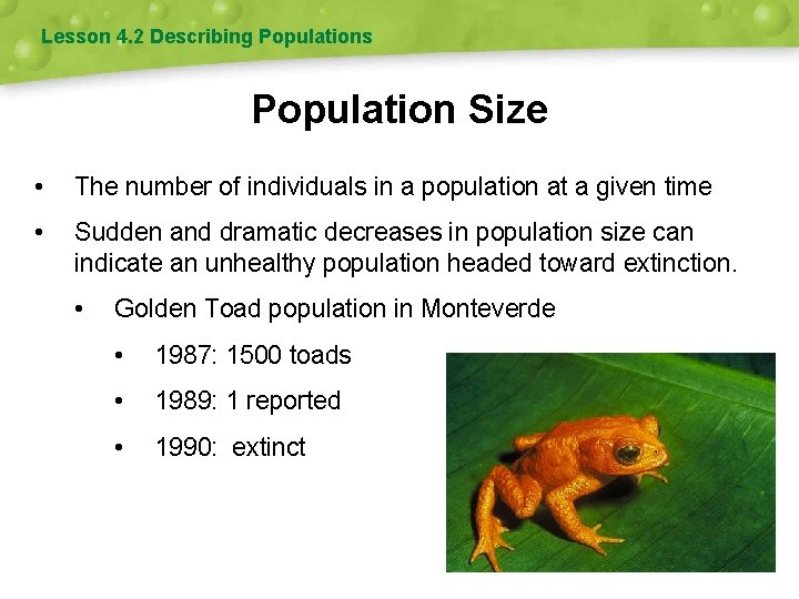 Lesson 4. 2 Describing Populations Population Size • The number of individuals in a