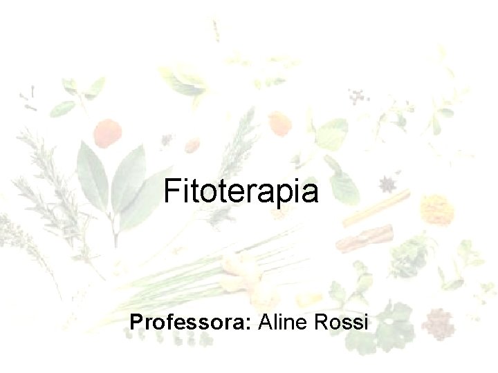 Fitoterapia Professora: Aline Rossi 