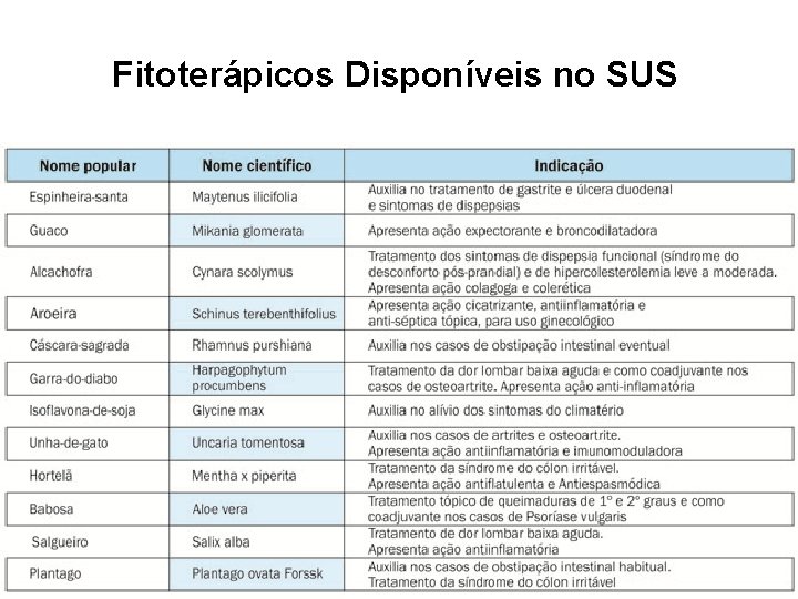 Fitoterápicos Disponíveis no SUS 