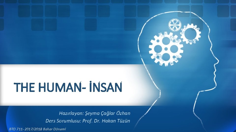 THE HUMAN- İNSAN Hazırlayan: Şeyma Çağlar Özhan Ders Sorumlusu: Prof. Dr. Hakan Tüzün BTO