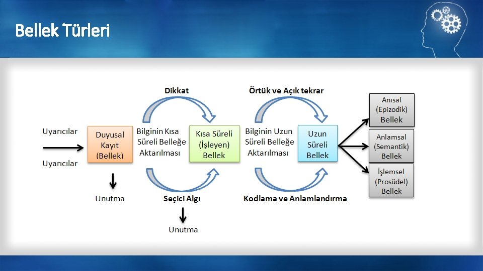 Bellek Türleri 