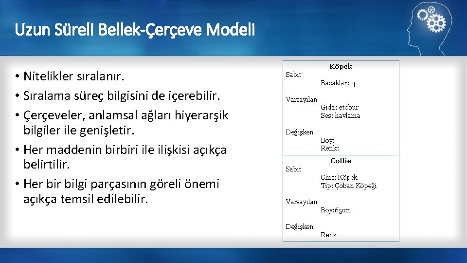 Uzun Süreli Bellek-Çerçeve Modeli • Nitelikler sıralanır. • Sıralama süreç bilgisini de içerebilir. •