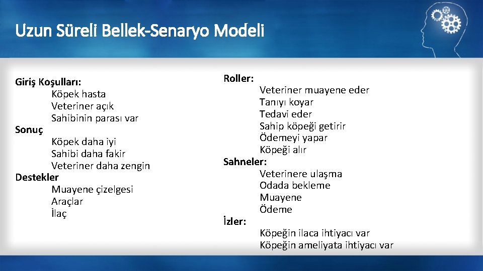 Uzun Süreli Bellek-Senaryo Modeli Giriş Koşulları: Köpek hasta Veteriner açık Sahibinin parası var Sonuç