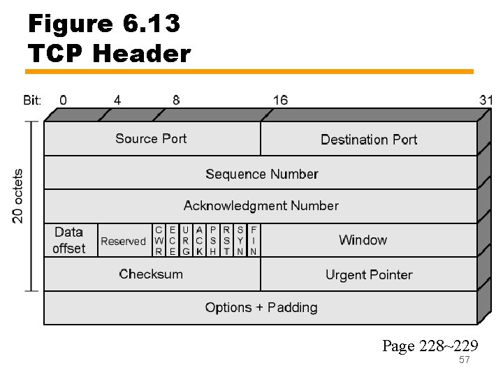 Figure 6. 13 TCP Header Page 228~229 57 