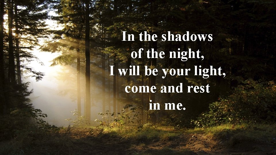 In the shadows of the night, I will be your light, come and rest