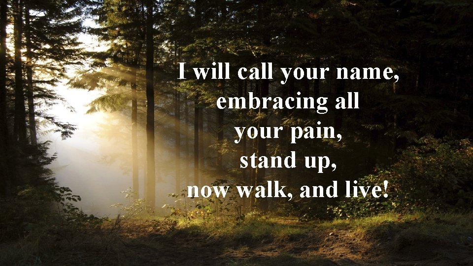 I will call your name, embracing all your pain, stand up, now walk, and