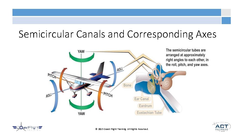 Semicircular Canals and Corresponding Axes © 2015 Coast Flight Training. All Rights Reserved. 
