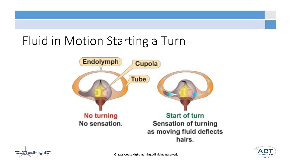 Fluid in Motion Starting a Turn © 2015 Coast Flight Training. All Rights Reserved.