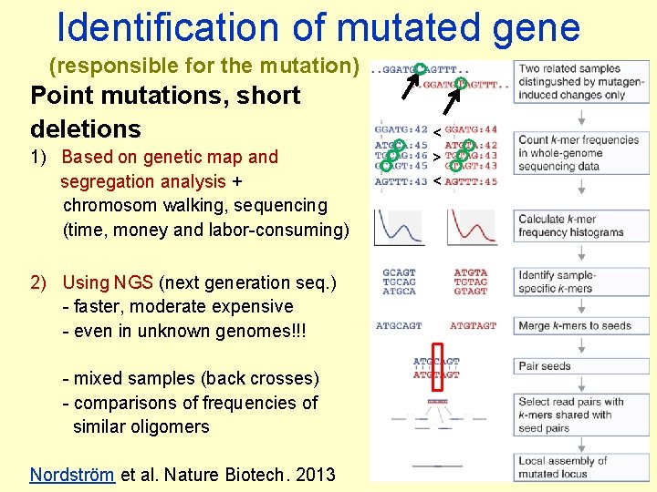 Identification of mutated gene (responsible for the mutation) Point mutations, short deletions 1) Based