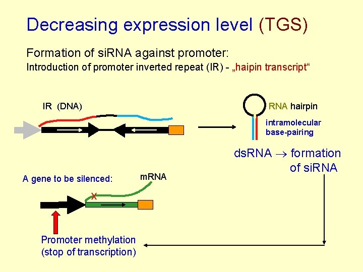Decreasing expression level (TGS) Formation of si. RNA against promoter: Introduction of promoter inverted