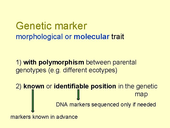 Genetic marker morphological or molecular trait 1) with polymorphism between parental genotypes (e. g.
