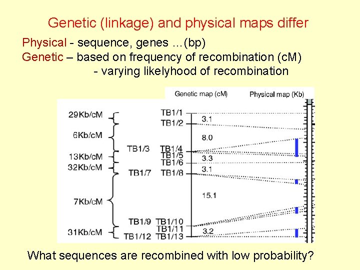 Genetic (linkage) and physical maps differ Physical - sequence, genes …(bp) Genetic – based
