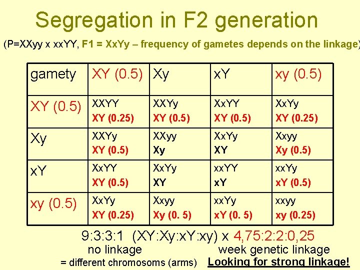 Segregation in F 2 generation (P=XXyy x xx. YY, F 1 = Xx. Yy