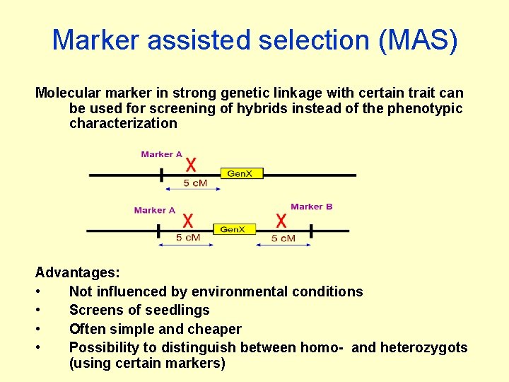 Marker assisted selection (MAS) Molecular marker in strong genetic linkage with certain trait can