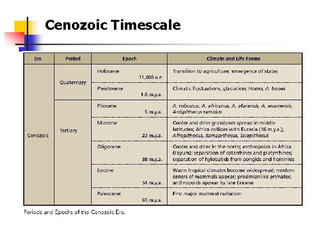 Cenozoic Timescale Cenozoic Timescale