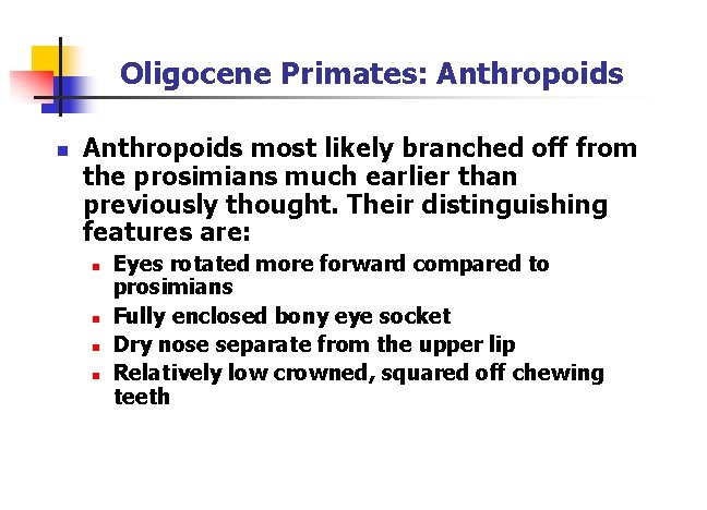 Oligocene Primates: Anthropoids n Anthropoids most likely branched off from the prosimians much earlier