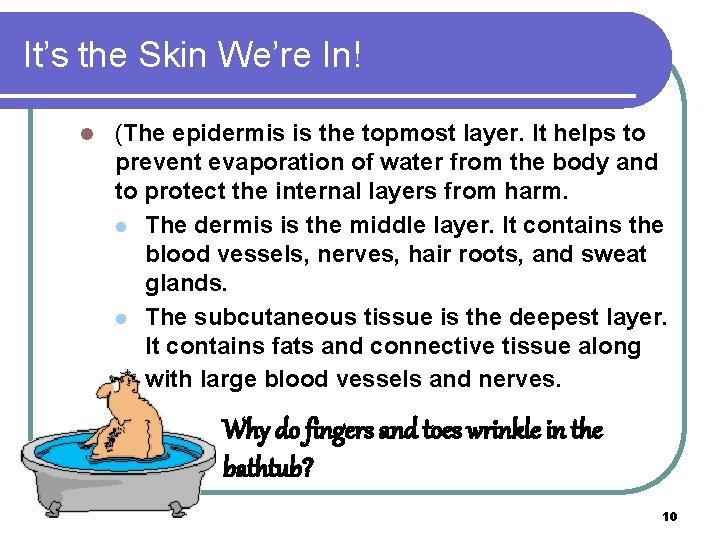 It’s the Skin We’re In! l (The epidermis is the topmost layer. It helps