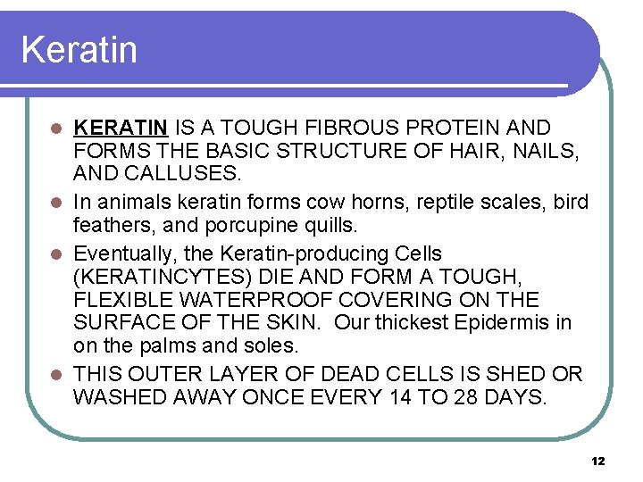 Keratin KERATIN IS A TOUGH FIBROUS PROTEIN AND FORMS THE BASIC STRUCTURE OF HAIR,