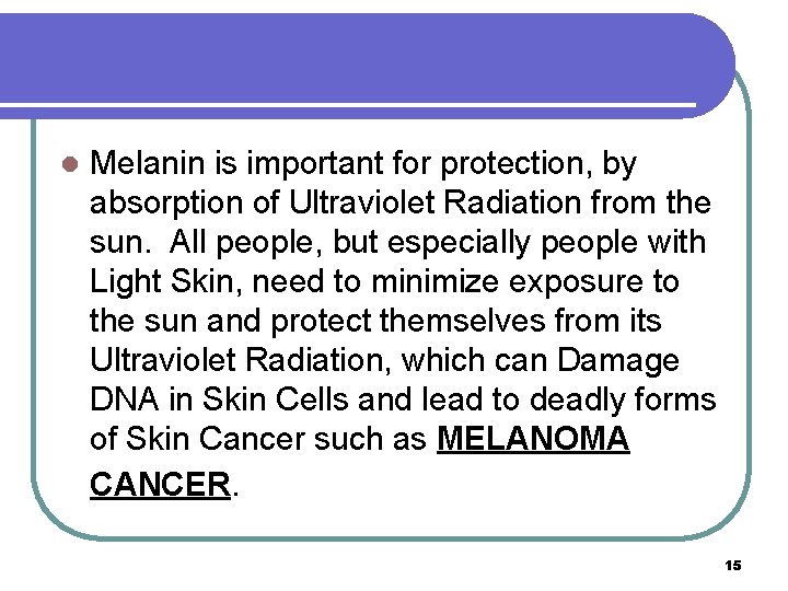 l Melanin is important for protection, by absorption of Ultraviolet Radiation from the sun.