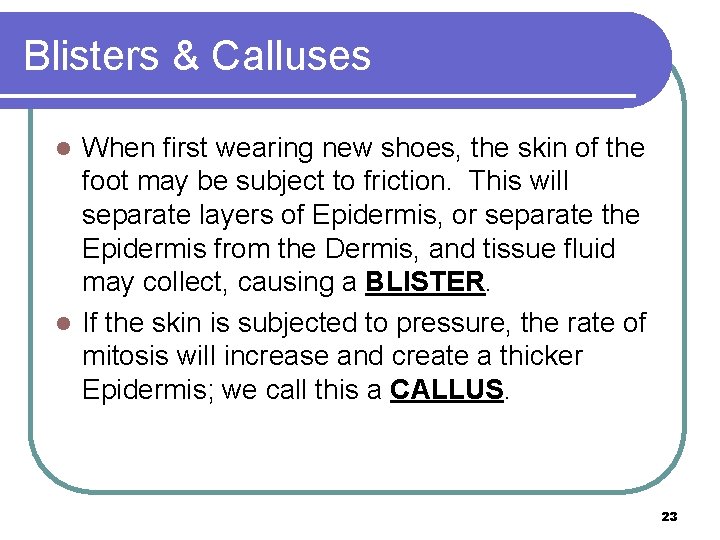 Blisters & Calluses When first wearing new shoes, the skin of the foot may