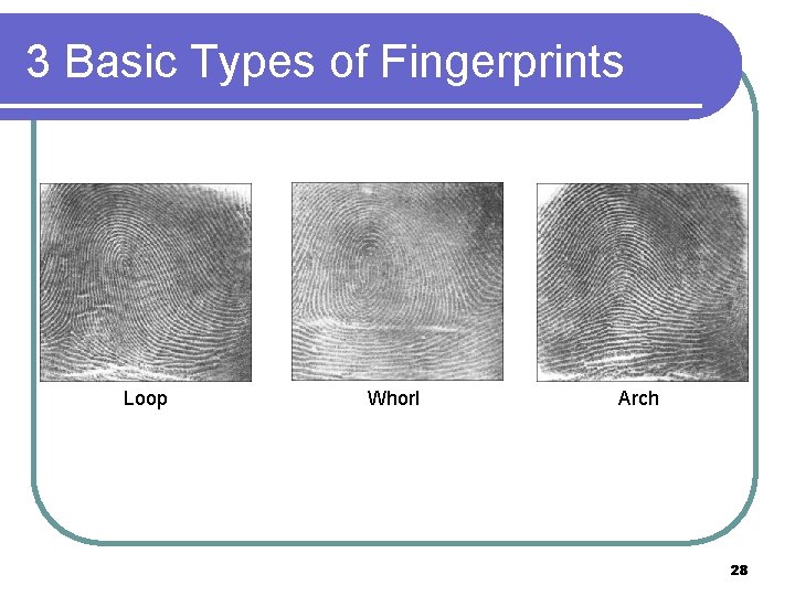 3 Basic Types of Fingerprints Loop Whorl Arch 28 