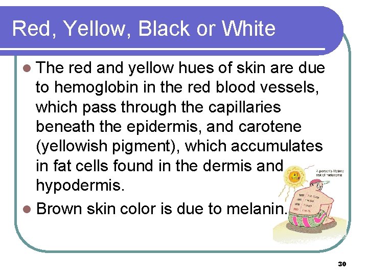 Red, Yellow, Black or White l The red and yellow hues of skin are