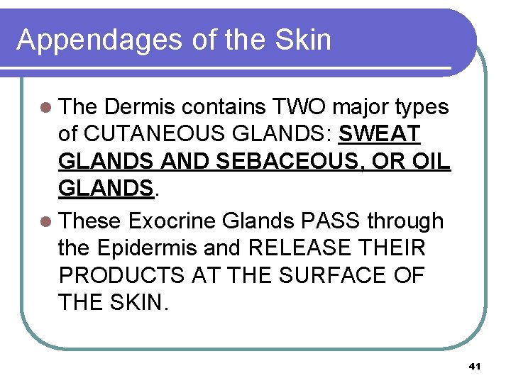 Appendages of the Skin l The Dermis contains TWO major types of CUTANEOUS GLANDS: