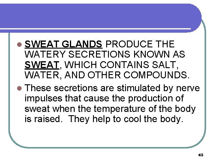 l SWEAT GLANDS PRODUCE THE WATERY SECRETIONS KNOWN AS SWEAT, WHICH CONTAINS SALT, WATER,