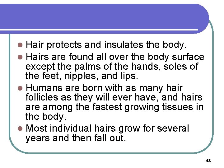 l Hair protects and insulates the body. l Hairs are found all over the