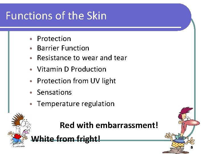 Functions of the Skin • • Protection Barrier Function Resistance to wear and tear