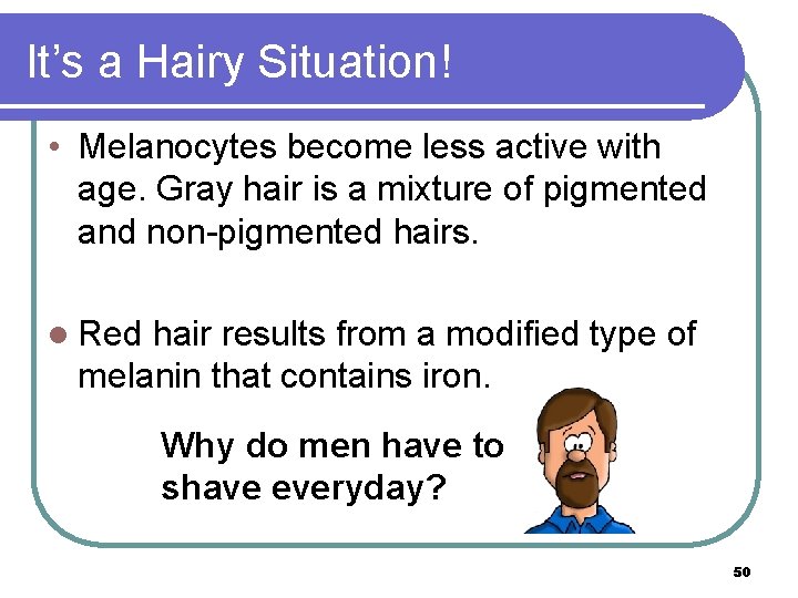 It’s a Hairy Situation! • Melanocytes become less active with age. Gray hair is