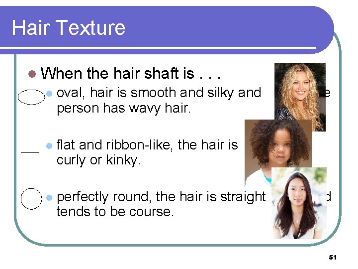 Hair Texture l When the hair shaft is. . . l oval, hair is