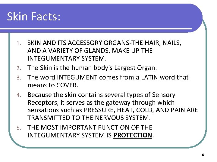 Skin Facts: 1. 2. 3. 4. 5. SKIN AND ITS ACCESSORY ORGANS-THE HAIR, NAILS,