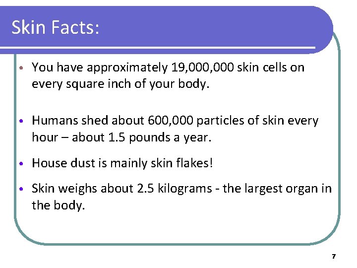 Skin Facts: • You have approximately 19, 000 skin cells on every square inch