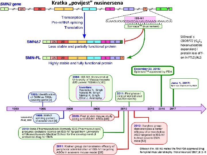 Kratka „povijest” nusinersena Sličnosti s C 9 ORF 72 (G 4 C 2 hexanucleotide