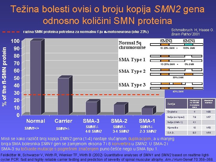 Težina bolesti ovisi o broju kopija SMN 2 gena odnosno količini SMN proteina %