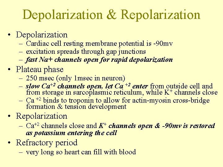 Depolarization & Repolarization • Depolarization – Cardiac cell resting membrane potential is -90 mv