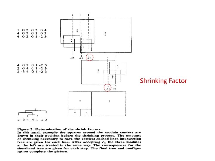 Shrinking Factor 