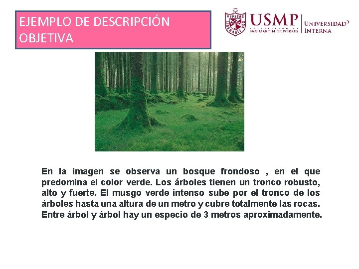 EJEMPLO DE DESCRIPCIÓN OBJETIVA En la imagen se observa un bosque frondoso , en EJEMPLO DE DESCRIPCIÓN OBJETIVA En la imagen se observa un bosque frondoso , en